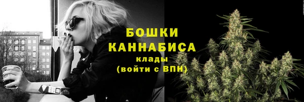 МДПВ Горнозаводск