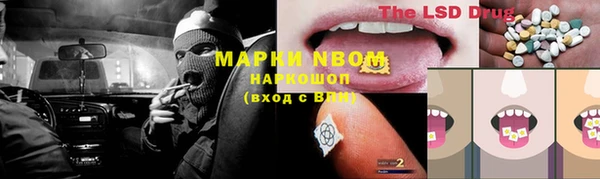 хмурый Горно-Алтайск