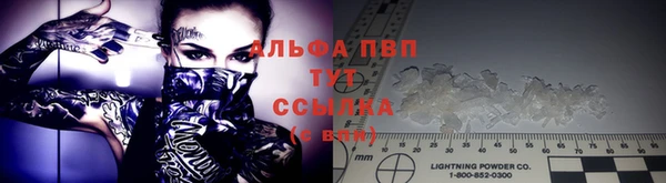 молекула духа Гусев