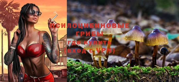 хмурый Горно-Алтайск
