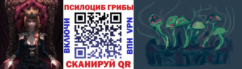 Купить где Выкса Галлюциногенные грибы GOLDEN TEACHER
